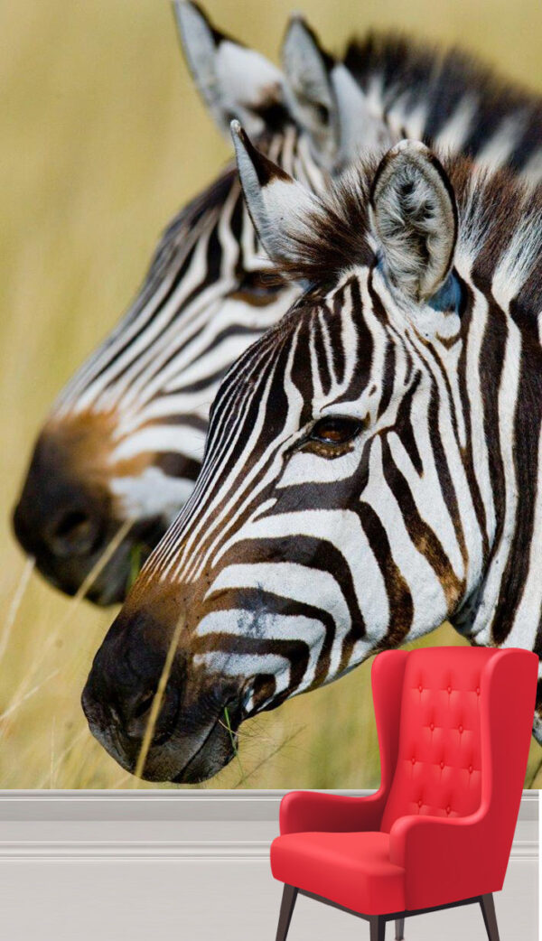 Wild Zebras in National Park Wall Mural