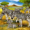 Cute Zebras Sitting in the Grasslands Wall Mural