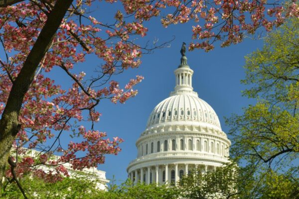 Famous US Capitol Building Wall Mural