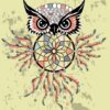 Dream Catcher Calm Owl Wall Mural