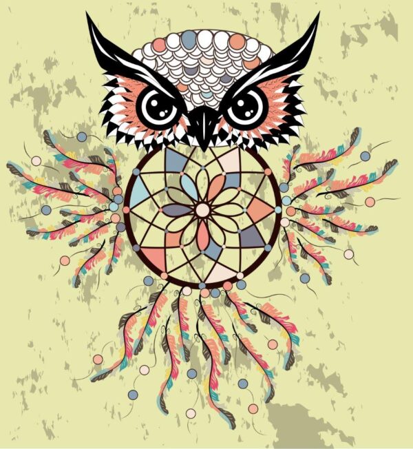 Dream Catcher Calm Owl Wall Mural