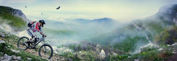 Beautiful Mountain Bike Ride Wall Mural