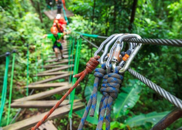 Safety Of Zip line Adventure Wall Mural