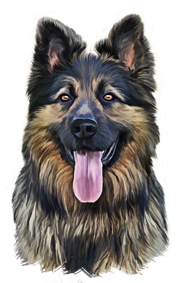 Happy German Shepherd Dog Wall Mural