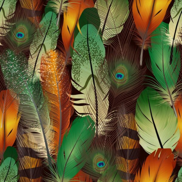 Colourful Bird Feathers Abstract Wall Mural
