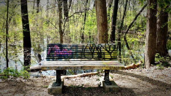 Dirty Graffiti Swamp Bench Wall Mural