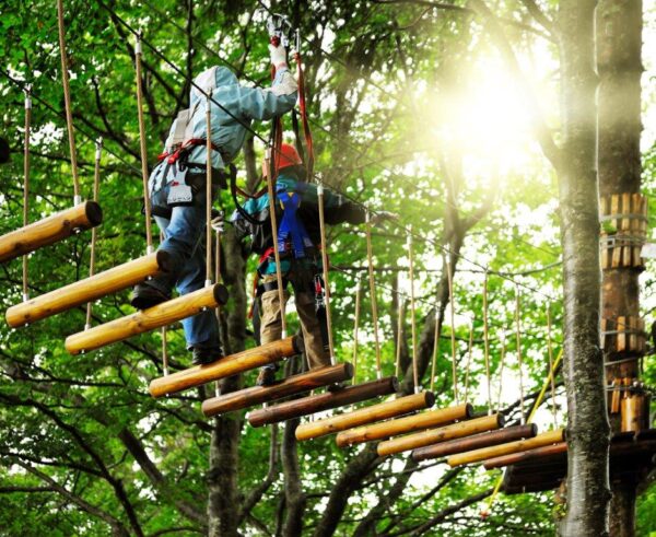 Adventure Climbing High Wire Park Wall Mural