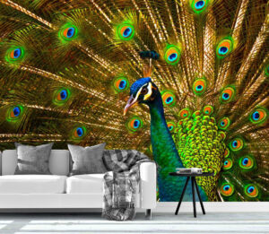 Beautiful Peacock with Feathers Out Wall Mural