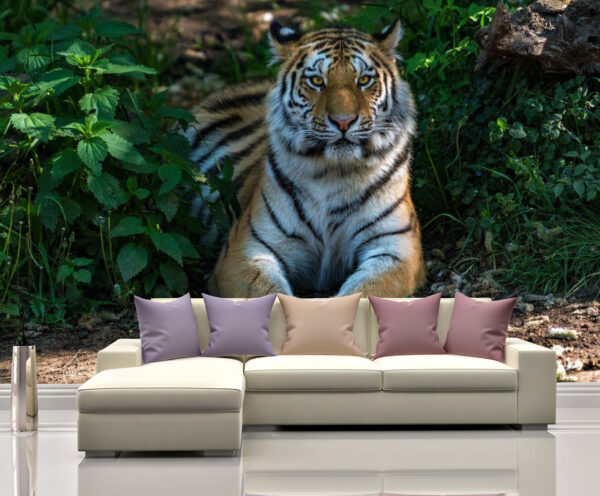 Big Solitary Tiger Wall Mural