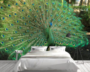 Peacock Beautiful Green Feathers Wall Mural