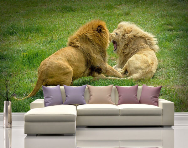 Two Furious Lions Fighting Wall Mural