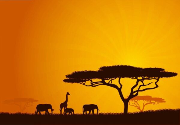 African Calm Wildlife Background Wall Mural - Image 2
