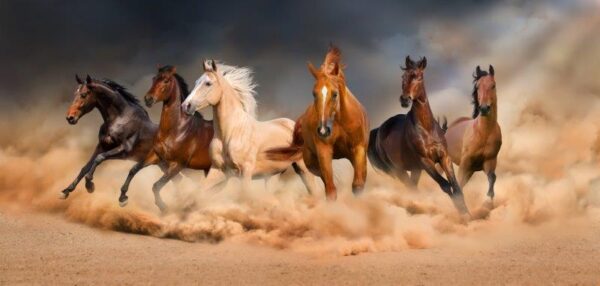 Horses Run in Scary Desert Storm Wall Mural