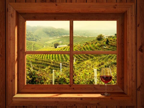 Beautiful Vineyards Wall Mural