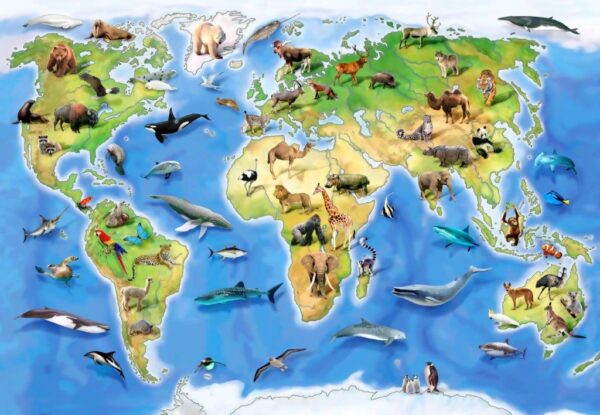Howard Robinson's World Animal Atlas Wall Mural