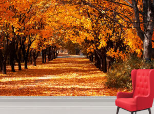 Beautiful Autumn Trees Wall Mural