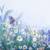 wild flowers, chamomile, purple wild peas, butterfly, morning haze