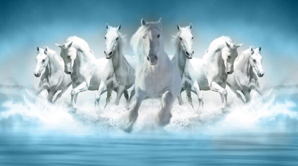 3D Wallpaper Seven Horses running Wall mural