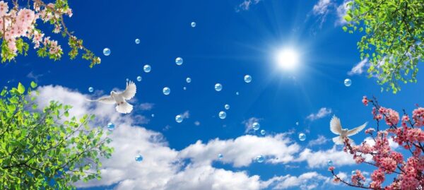 Pigeons and flying bubbles placed in spring branches on a sunny day