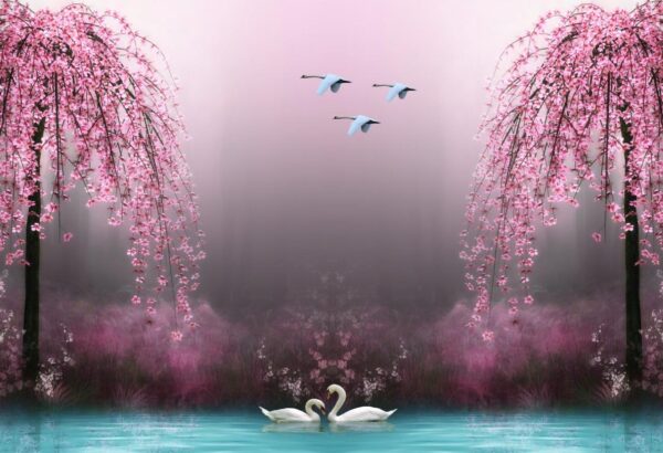 3d wallpaper swan pink tree water