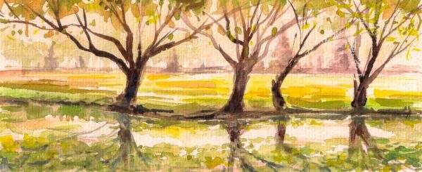 Landscape with old trees in park watercolor painting